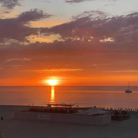 Soleil Couchant Aux Reflets Miel De La Terre *